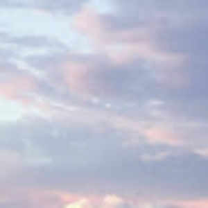 Meet your Posher, Shealeigh